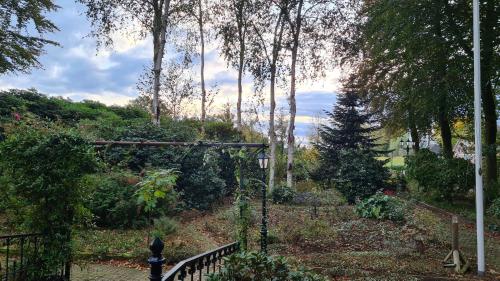 a garden with a gate and trees on a hill at B&B De Zeven Berken in Nistelrode