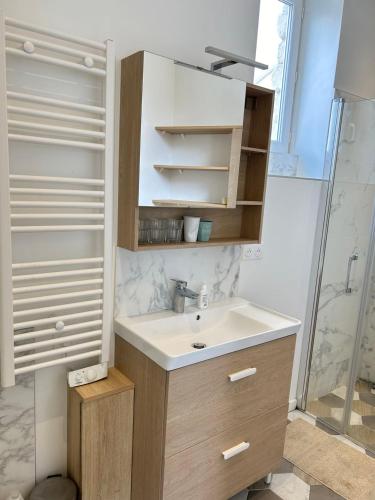 une salle de bain avec un lavabo et une douche dans l'établissement Spacious apartment near Eiffel Grenelle F2, à Paris