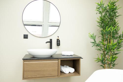 a bathroom with a sink and a mirror at SI apartments - Smart Inn in Vienna