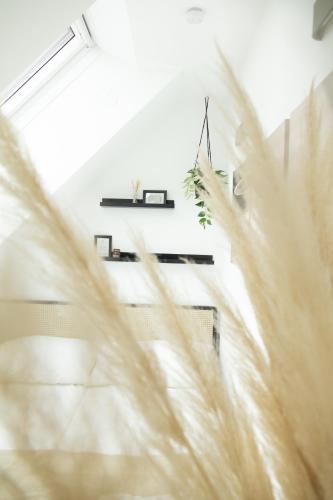 a room with tall grass and a shelf at SI apartments - Smart Inn in Vienna