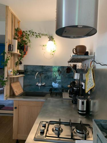 Il comprend une cuisine équipée d'une cuisinière. four supérieur à côté d'un évier dans l'établissement Appartement moderne dans ferme rénovée, à Champagnole