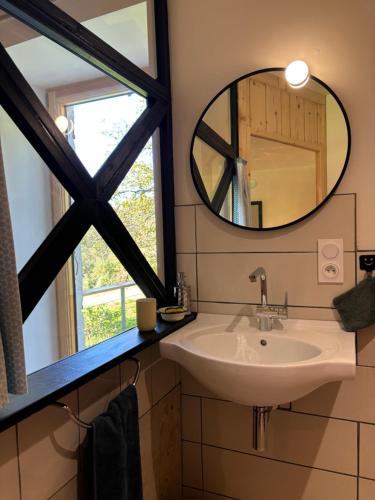 une salle de bain avec un lavabo et un miroir dans l'établissement Appartement moderne dans ferme rénovée, à Champagnole