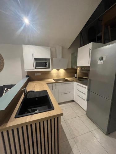 une cuisine avec un évier et un réfrigérateur dans l'établissement Villa FLAMINGO, à Hyères