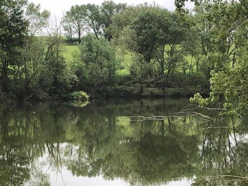 Photo de la galerie de l'établissement domaine en castanet, à Caraman