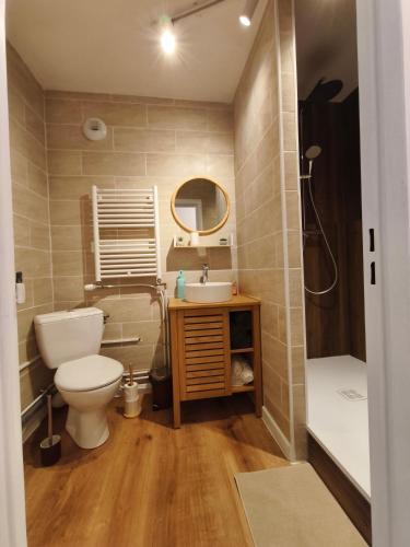 a bathroom with a toilet and a sink and a shower at Chez Marie et Ludovic in Ronchin
