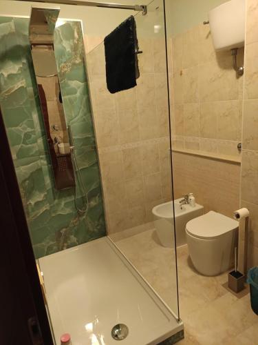 a bathroom with a shower and a toilet at Interamna Dreams in Pignataro Interamna