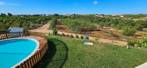 a swimming pool in a yard with a vineyard at Quinta da Bornacha - Casa B e Casa C in Vila Nova De Cacela