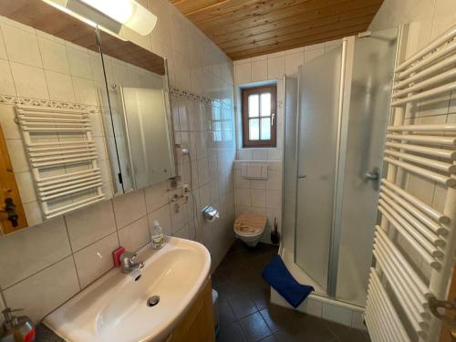 Ένα μπάνιο στο Ferienwohnung am Schusterhof