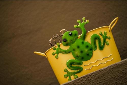 a green lizard sitting on top of a yellow vase at Stile Suite Family Hotel in Antalya
