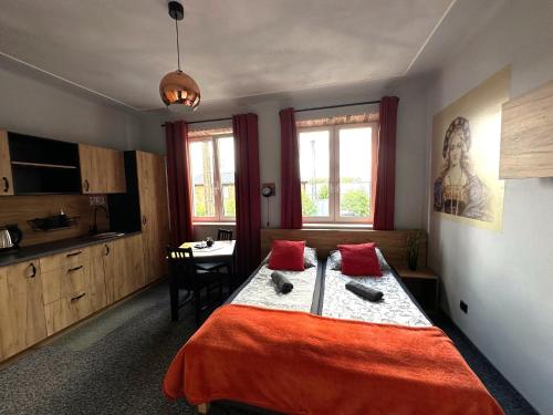 a bedroom with a large bed with red pillows at Apartamenty Rycerskie in Inowłódz
