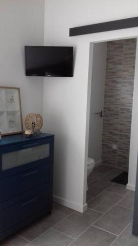 La salle de bains est pourvue de toilettes et d'une télévision murale. dans l'établissement Charmant studio indépendant Saubusse, à Saubusse