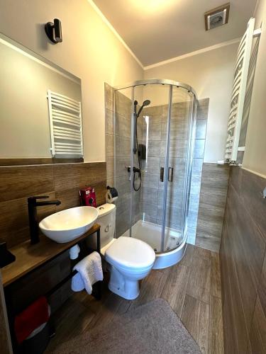a bathroom with a shower and a toilet and a sink at Apartamenty Rycerskie in Inowłódz