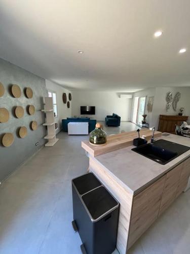 - une cuisine avec évier et comptoir dans la chambre dans l'établissement Villa du Golf, à Montboucher-sur-Jabron