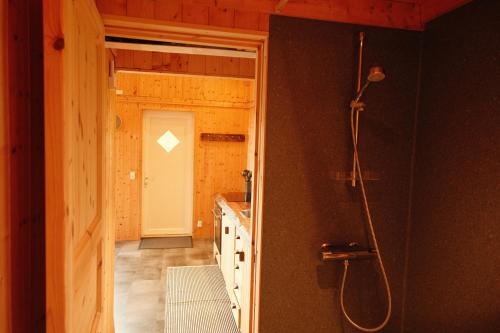 a bathroom with a shower and a door to a hallway at Múlafossur Cottages by famous waterfall in Gásadalur in Gásadalur