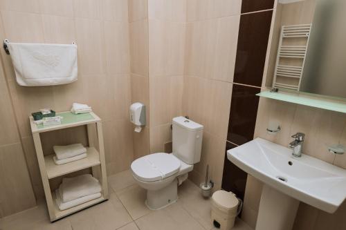 a bathroom with a toilet and a sink at Hotel Marea Neagra in Sinaia