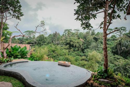 Taman di luar Pondok Dedari villa