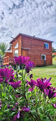 Zahrada ubytování Loft y Cabañas Quetru