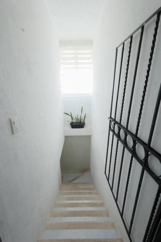 Φωτογραφία από το άλμπουμ του Casa de las aves relax and breath σε Valladolid