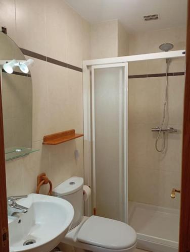 a bathroom with a shower and a toilet and a sink at R2R - Apto espacioso en Cabrales - 24B03 in Arenas de Cabrales