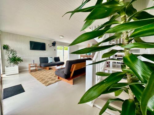 a living room with a large green plant at Villa de Surf in Ponta do Ouro