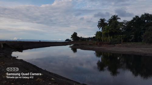 a body of water with palm trees on the beach at Pal Mar in Nuquí