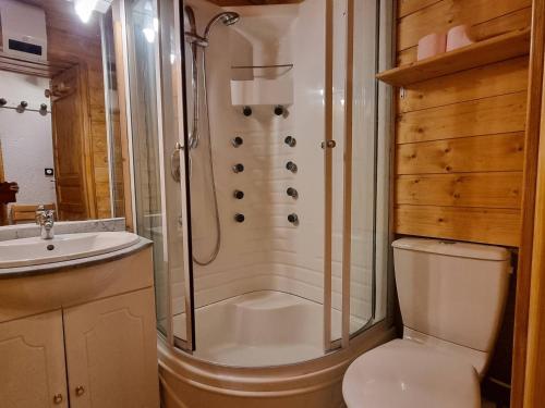 une salle de bain avec une douche, des toilettes et un lavabo dans l'établissement Appartement au pied des pistes, 2 chambres, proche commerces, à Plagne Village - FR-1-351-181, à La Plagne Tarentaise