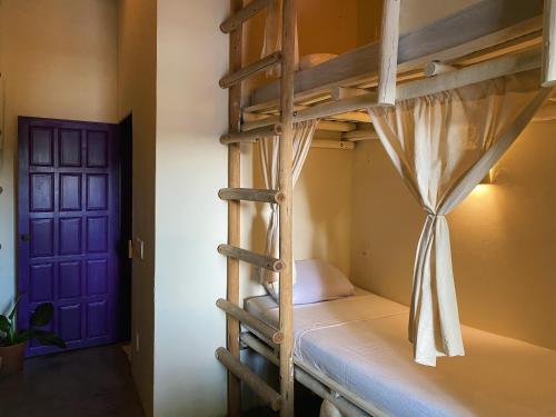 Postel nebo postele na pokoji v ubytování Teiú Hostel Trancoso
