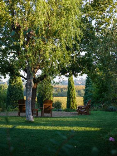 a park with benches and a tree in the grass at Borgo San Vincenzo in Montepulciano