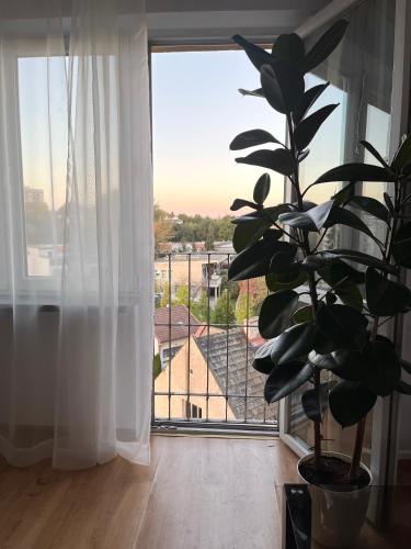 Apartament Tauron Arena