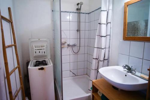 a small bathroom with a sink and a shower at Maison confortable avec jardin au Robert, 40 m², climatisation in Le Robert