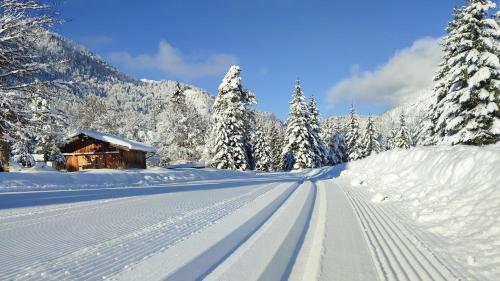 a snow covered road with a cabin in the distance at Der Brandstetterhof - Adults only in Stans