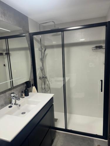 a bathroom with a shower and a white sink at RENFE-ALSA y clinicas in Oviedo