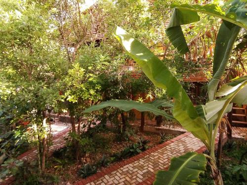 a garden with trees and a brick walkway at Maloca Hospedagem in Sao Jorge