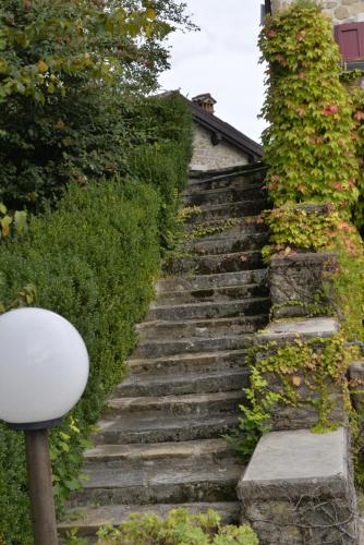 Zahrada ubytování Agriturismo Campo del Pillo