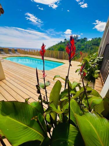- deux fleurs rouges devant une piscine dans l'établissement Villa Mare è Machja avec piscine et vue mer, à Sari-Solenzara