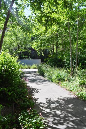 a path in a park with trees and plants at SweetHomeVersailles 10mn walk from Palace in Versailles