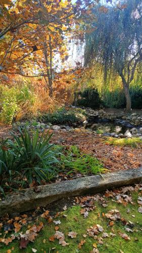 a log laying on the grass next to a stream at TOSKANA Nadarzyn in Nadarzyn