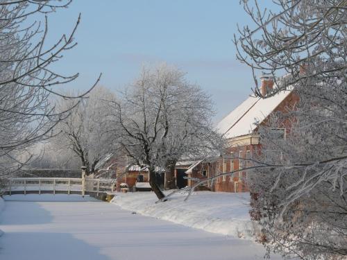 a snow covered yard with trees and a building at Landgoedlogies Pábema in Zuidhorn