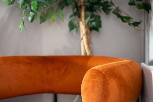 a orange bench with a tree in the background at Crown Street Aparthotel 2 in Halifax