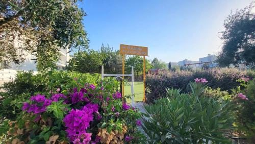 a garden with purple flowers and a tennis court at Mythical Sands resort - Hana in Paralimni