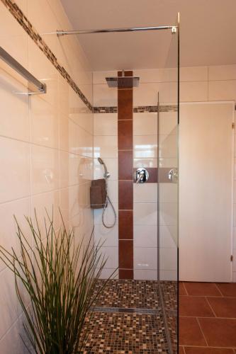a glass shower in a bathroom with a plant at Gästehaus Wöberlerhof in Ehrwald