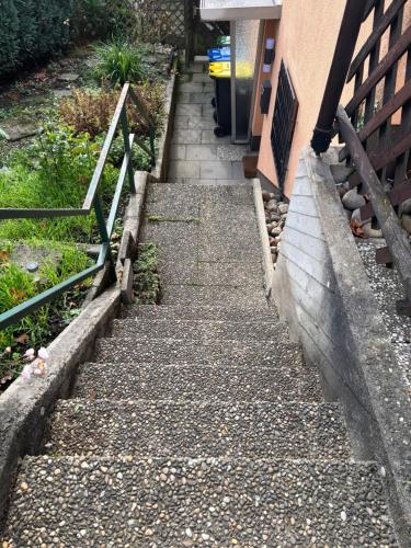 a set of stairs leading up to a house at Ferienwohnung LeJaju in Friedrichsthal