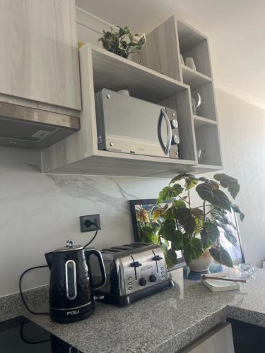 a kitchen counter with a toaster and plants on it at Departamento piso 17 Concepción in Concepción