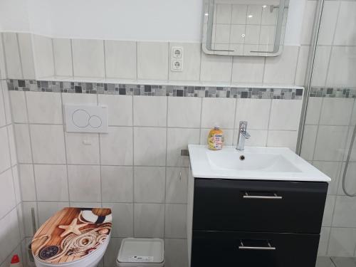 a bathroom with a sink and a toilet at Ferienwohnungen Am Storchennest in Krembz bei Gadebusch in Krembz