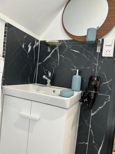 une salle de bain avec un lavabo blanc et un miroir dans l'établissement Petite maison calme limite Paris, à Saint-Ouen