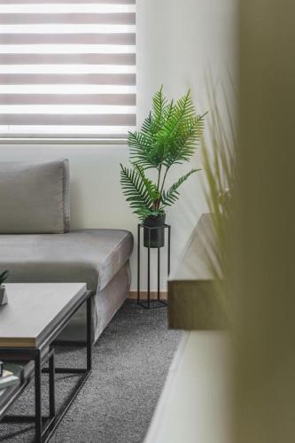 a living room with a couch and a potted plant at Harmony Apartments in Podgorica