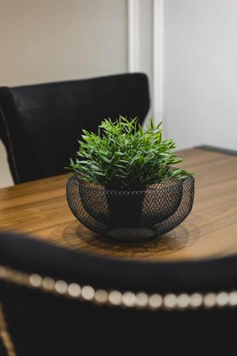 a plant in a bowl on a wooden table at Harmony Apartments in Podgorica