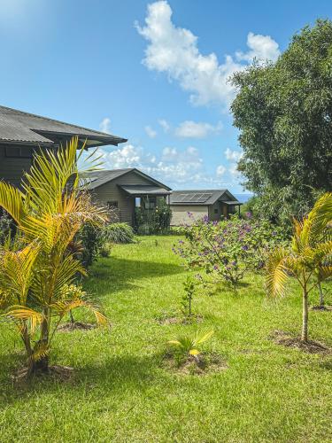 a yard with grass and trees and a house at Maunga Roa Eco Lodge in Hanga Roa