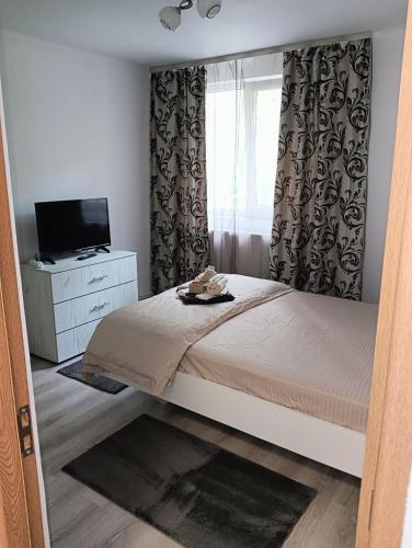 a bedroom with a bed and a tv and a window at Apartament HD2 in Hunedoara