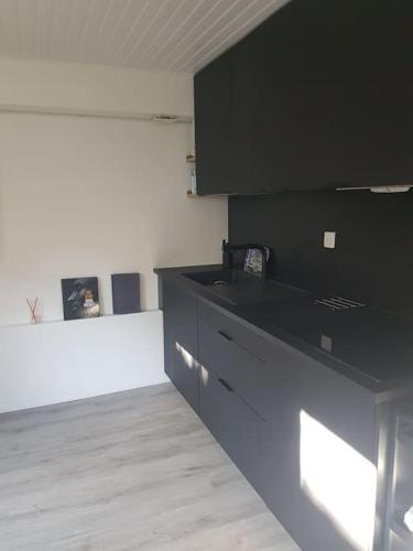 une cuisine avec des armoires noires et un comptoir dans l'établissement Duplex fond du jardin 2 kilomètres de Paris, à Pantin
